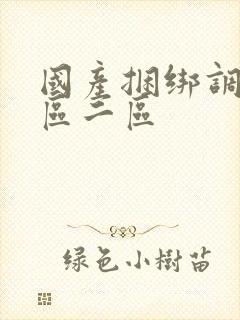 国产捆绑调教一区二区