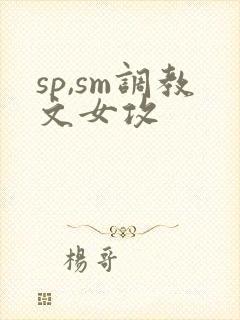 sp,sm调教文女攻