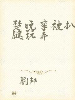 楚晚宁被扒开双腿玩弄