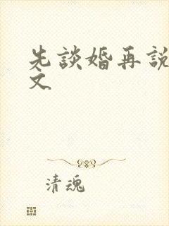 先谈婚再说爱全文