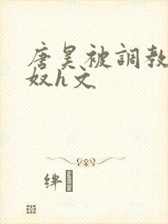 唐昊被调教成肉奴h文