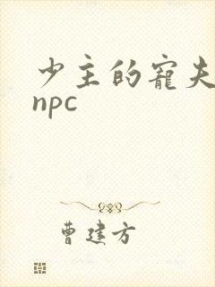 少主的宠夫女尊npc