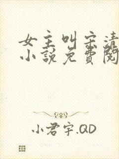 女主叫宋清禾的小说免费阅读封面