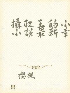 摄政王的小闲妻小说最新章节