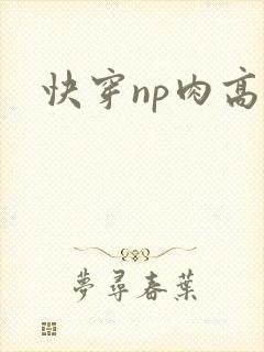 快穿np肉高h
