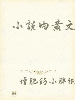 小说肉黄文