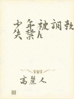 少年被调教爽到失禁h