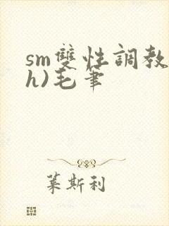 sm双性调教(h)毛笔