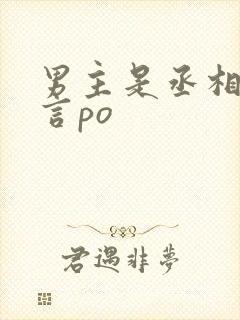 男主是丞相的古言po封面