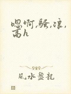 嗯啊,骚,浪,高h