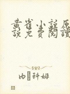 黄雀小说原著小说免费阅读封面