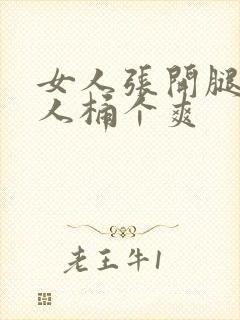 女人张开腿让男人桶个爽