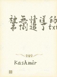 被无情道的小师弟倒追了txt