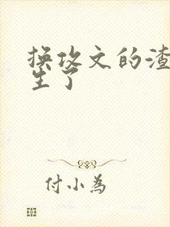 换攻文的渣攻重生了