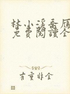 林小溪乔雁小说免费阅读全文无弹窗