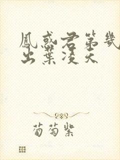 凤惑君第几章认出叶凌天