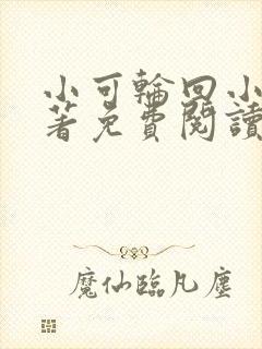 小可轮回小说原著免费阅读