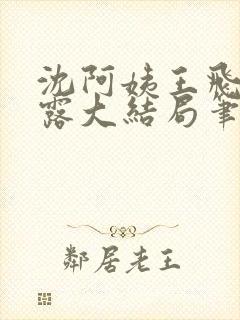 沈阿姨王飞李露露大结局笔趣阁封面