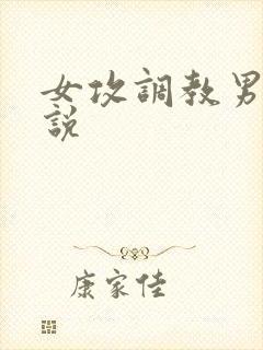 女攻调教男受小说