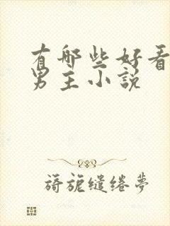 有哪些好看的双男主小说