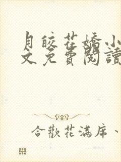 月皎花娇小说全文免费阅读