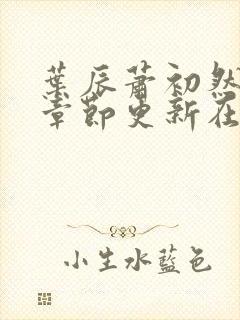 叶辰萧初然最新章节更新在线阅读