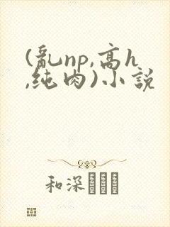 (乱np,高h,纯肉)小说