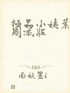 极品小姨叶凡无删减版