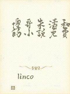 傻哥朱涛和婷婷的小说免费阅读