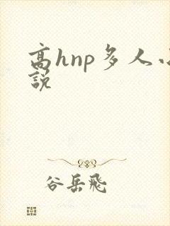 高hnp多人小说
