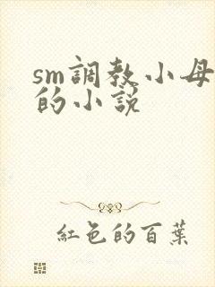sm调教小母狗的小说封面