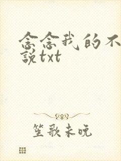 念念我的不忘小说txt