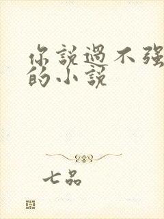 你说过不强迫我的小说