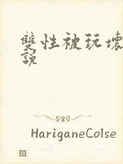 双性被玩坏了小说封面