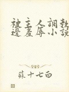 被主人调教边c边羞辱小说封面