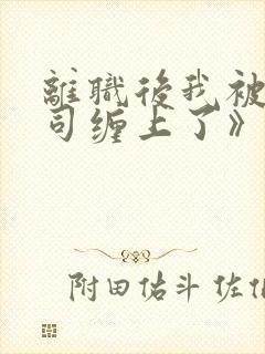 离职后我被前上司缠上了》