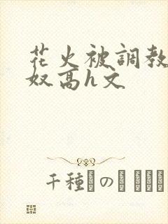 花火被调教成肉奴高h文