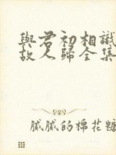与君初相识恰似故人归全集免费看封面