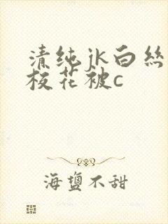 清纯jk白丝女校花被c封面