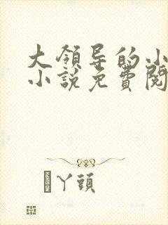 大领导的小妻子小说免费阅读封面