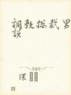 调教总裁男男小说