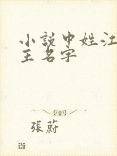 小说中姓江的女主名字封面