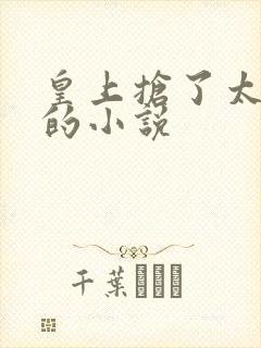 皇上抢了太子妃的小说封面