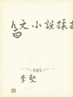 h文小说揉捏雪白