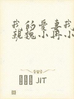 我的爱妻我的父亲魏小冉小说封面