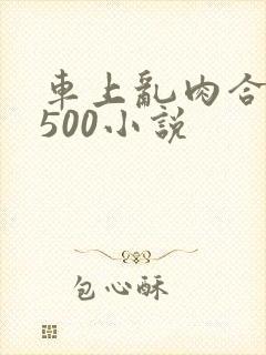 车上乱肉合集乱500小说