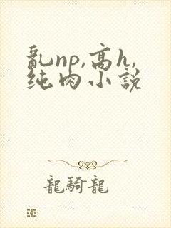 乱np,高h,纯肉小说