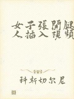 女子张开腿被男人插入视频