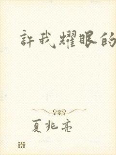 许我耀眼的结局