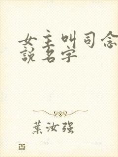 女主叫司念的小说名字封面